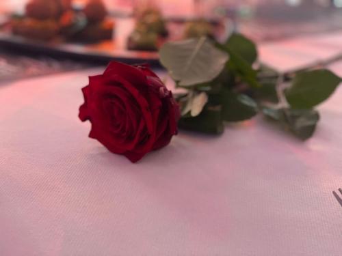 WhatsApp-Image-2024-04-20-at-12.25.14