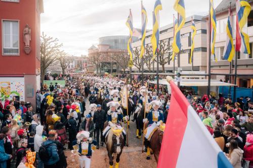 Fuesseliergarde Stimmungsbilder-162