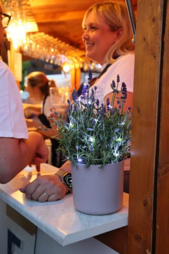 IMG 1251 1 @Thomas-Gottfried