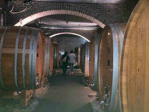 e00190f5-042b-4a41-987e-a3ad3db71e14