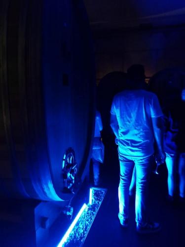 e0876066-22bd-49e7-90b0-89fbe59fac21